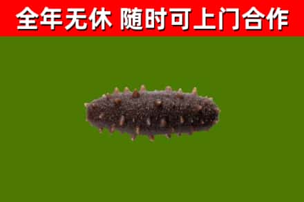 麻山区烟酒回收干海参.jpg